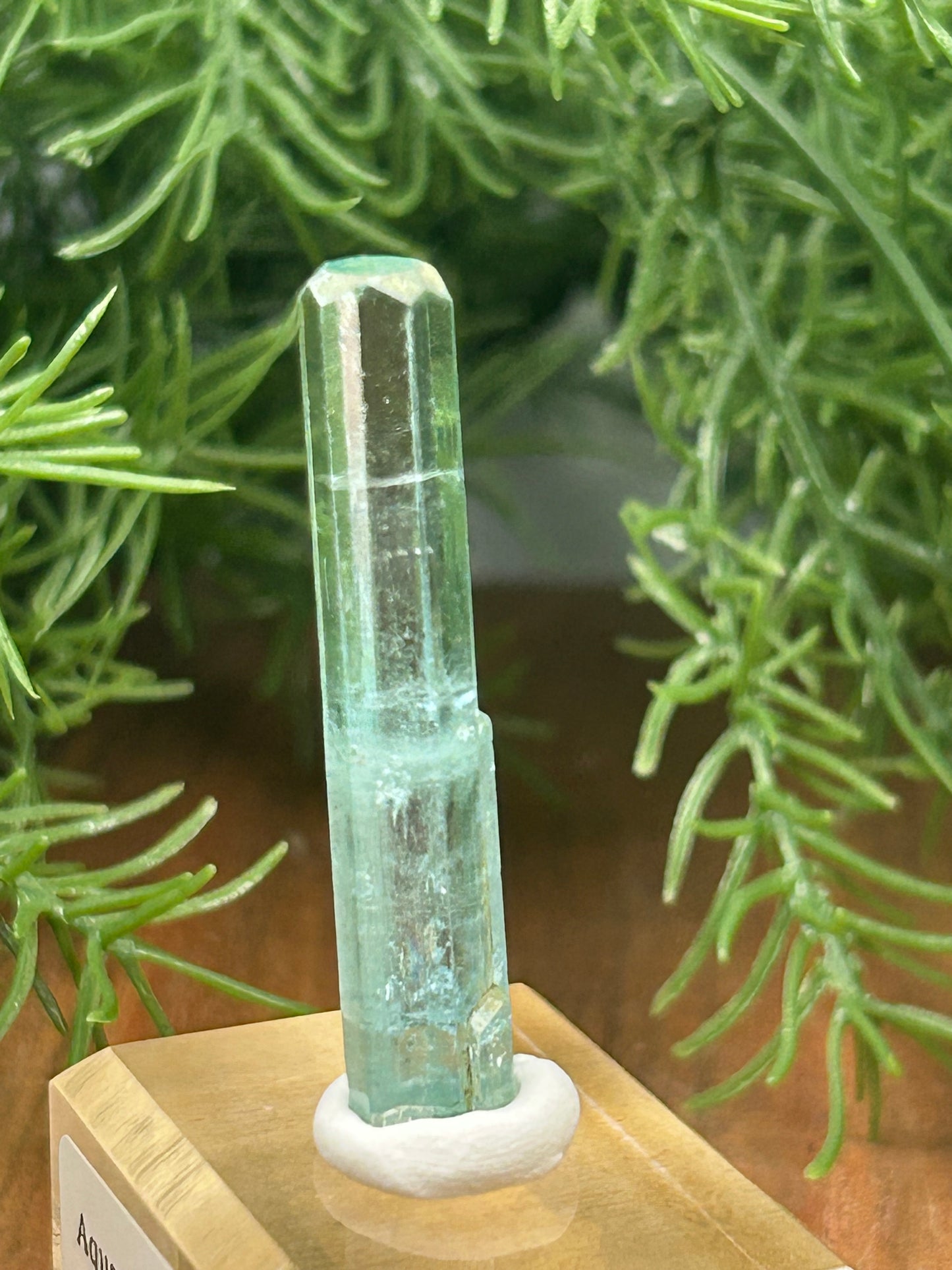 Delos Turner Aquamarine