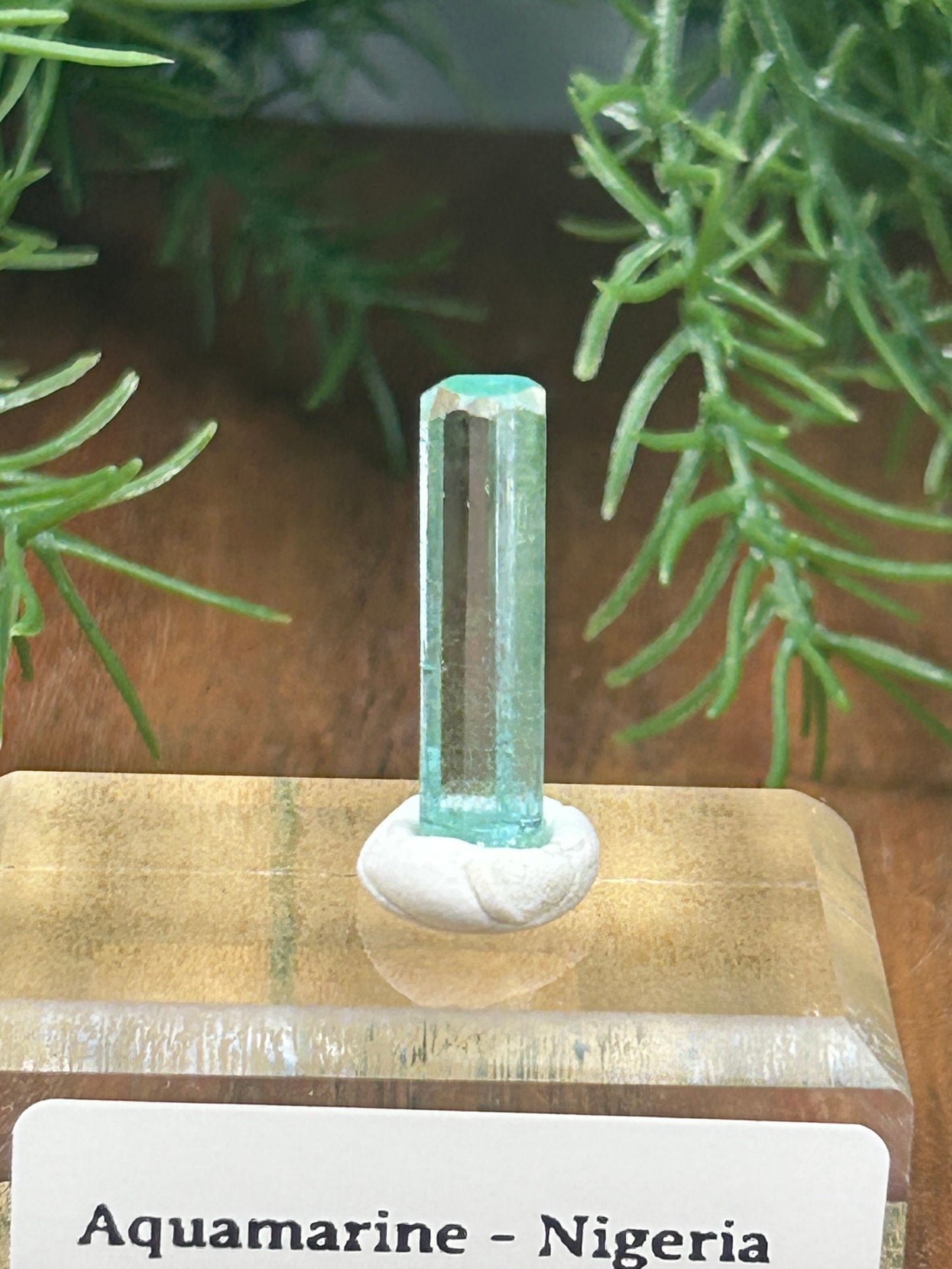 Delos Turner Aquamarine