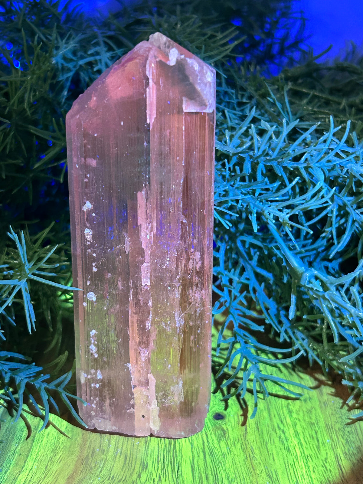 Natural Kunzite - Afghanistan