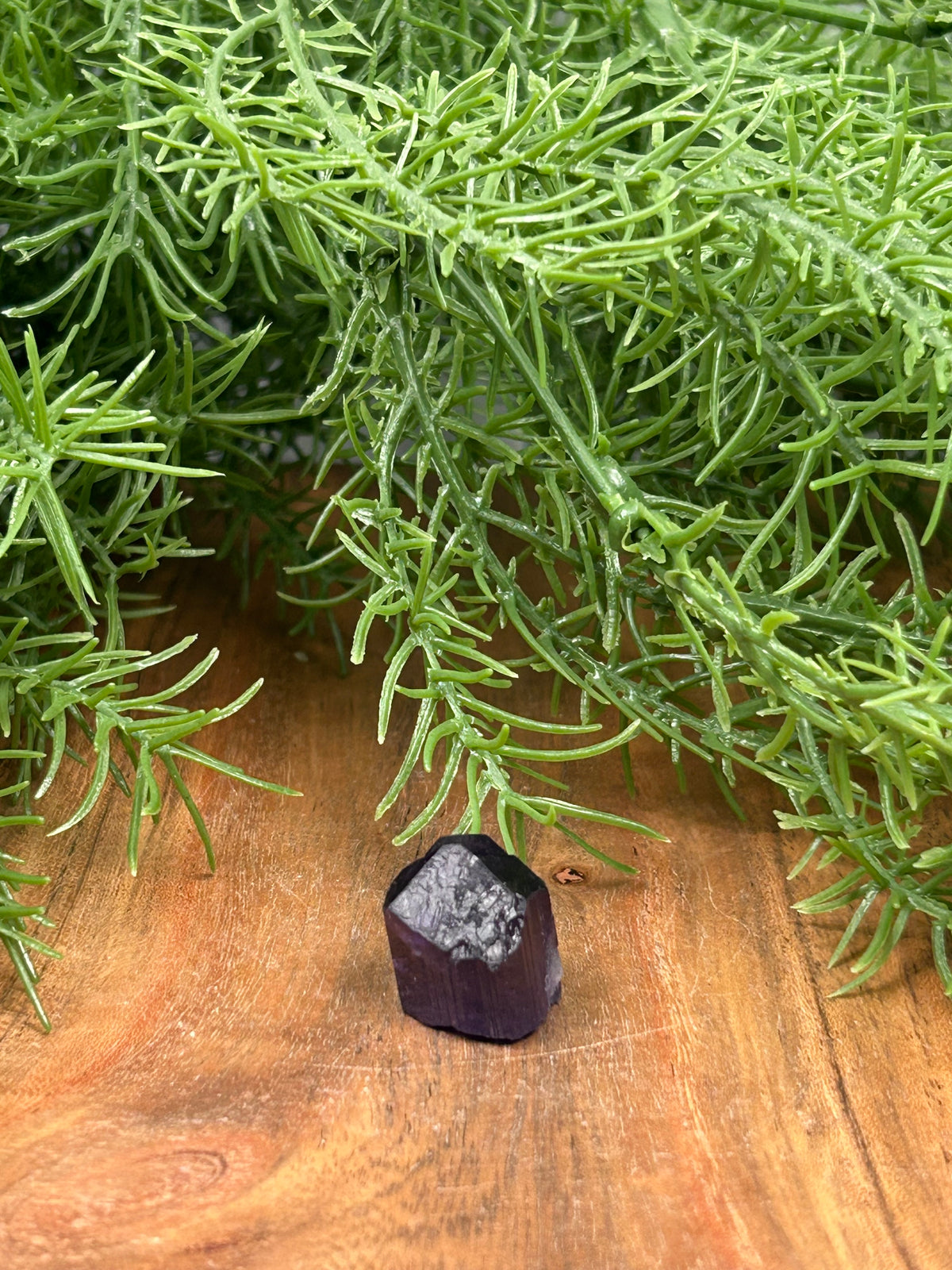 Purple Scapolite - Pakistan
