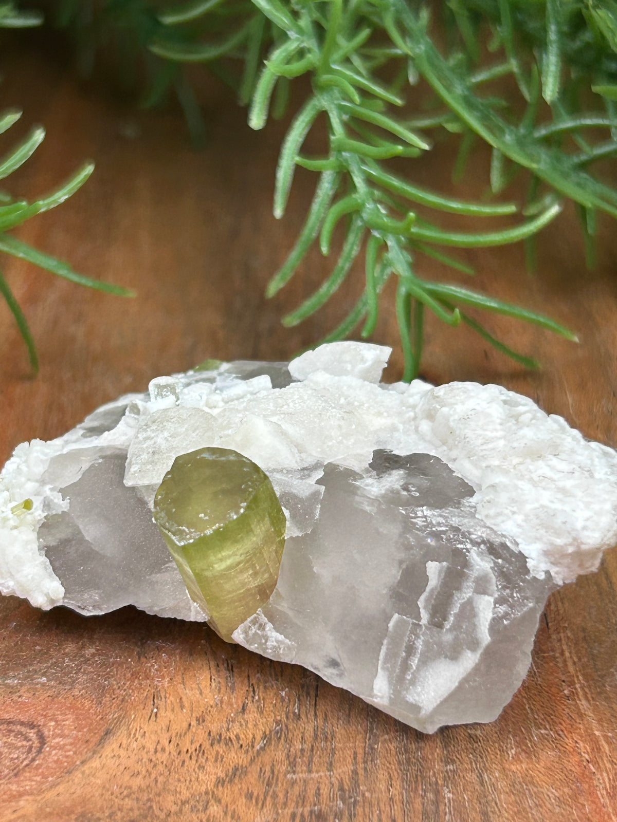 Watermelon Tourmaline on Matrix - Afghanistan