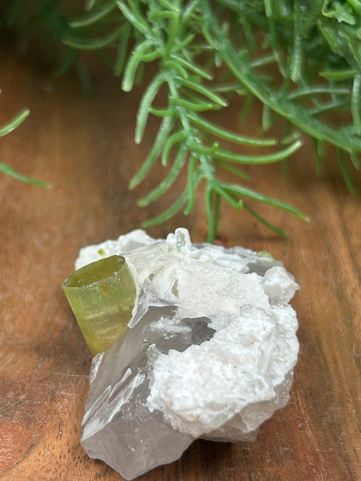 Watermelon Tourmaline on Matrix - Afghanistan