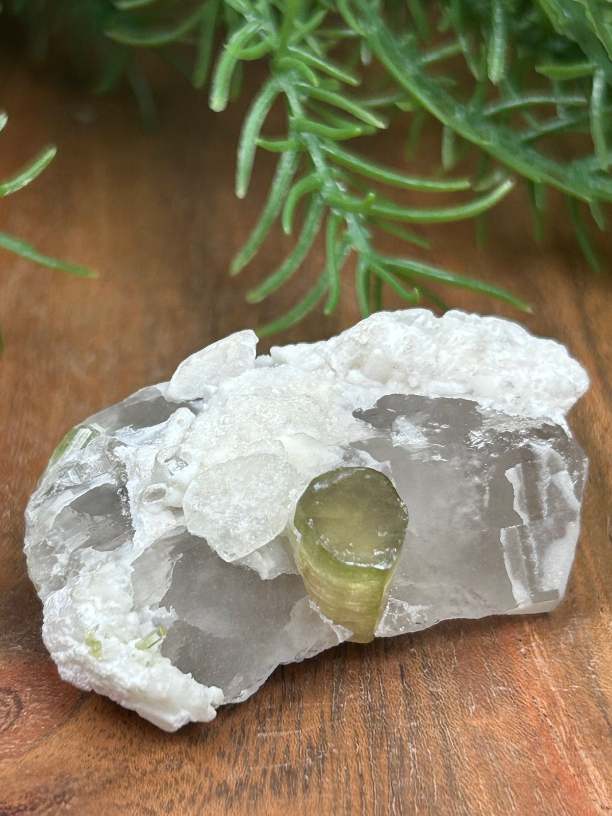 Watermelon Tourmaline on Matrix - Afghanistan