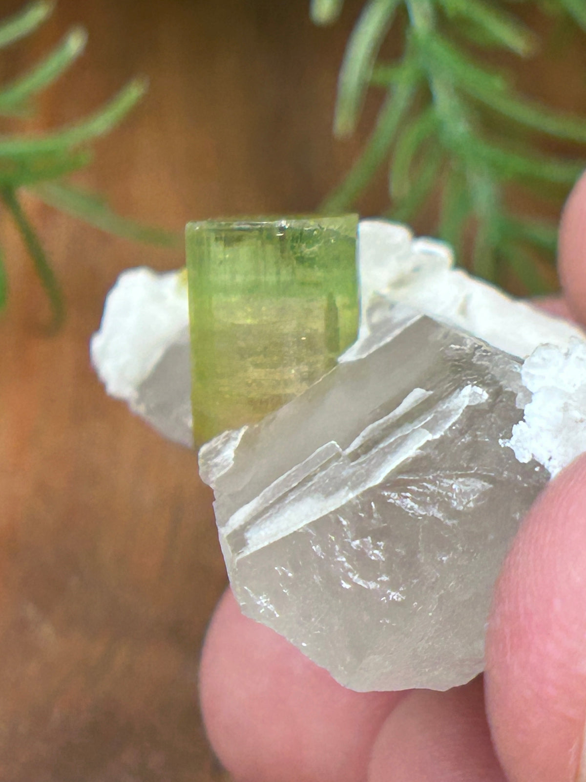 Watermelon Tourmaline on Matrix - Afghanistan