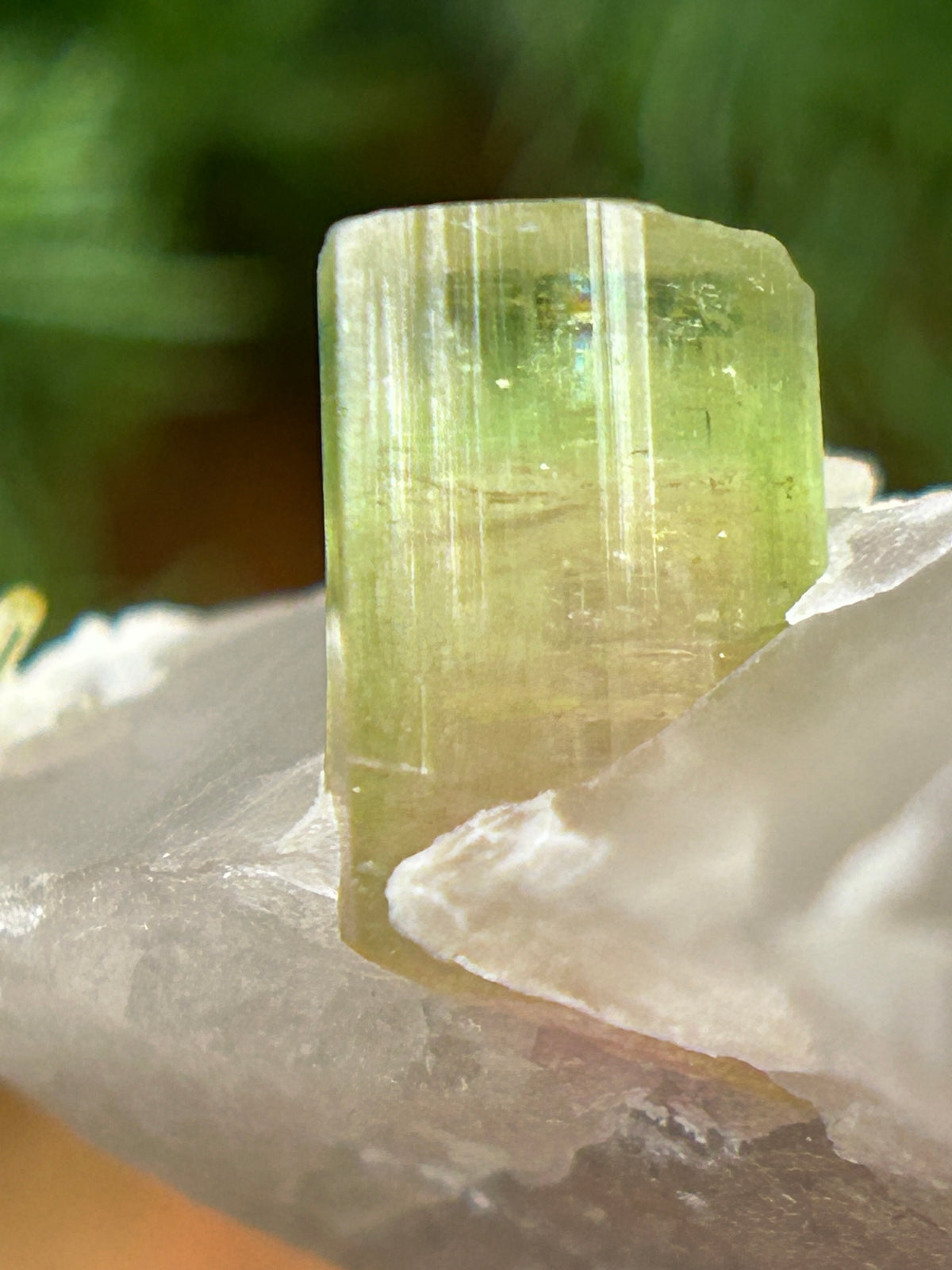 Watermelon Tourmaline on Matrix - Afghanistan