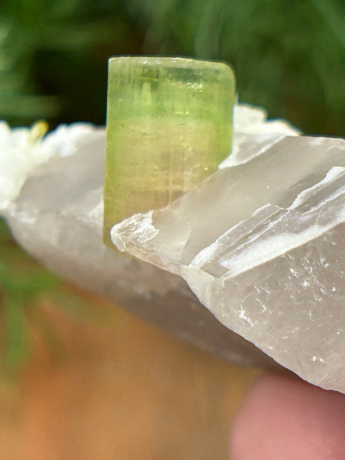 Watermelon Tourmaline on Matrix - Afghanistan