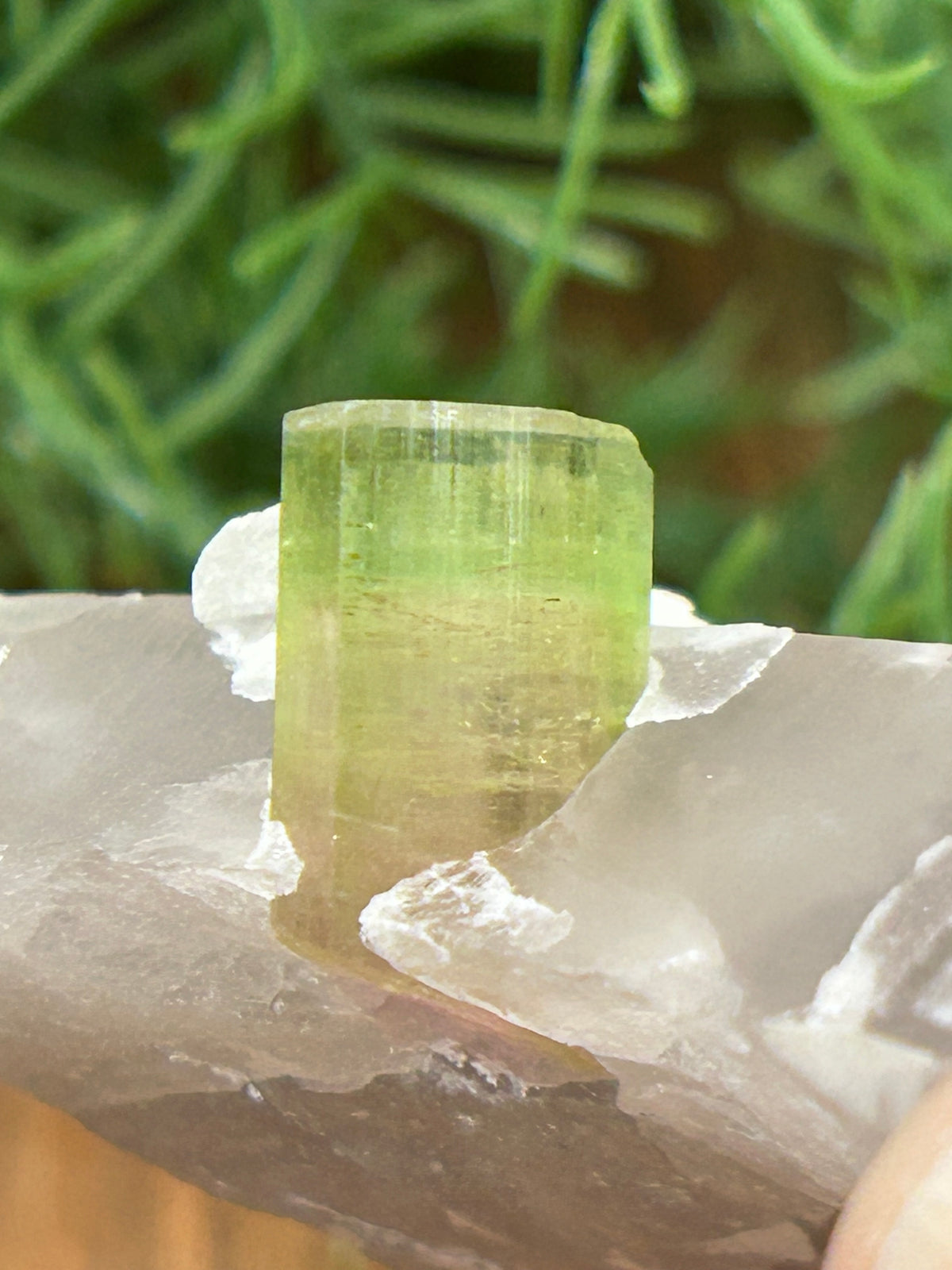 Watermelon Tourmaline on Matrix - Afghanistan