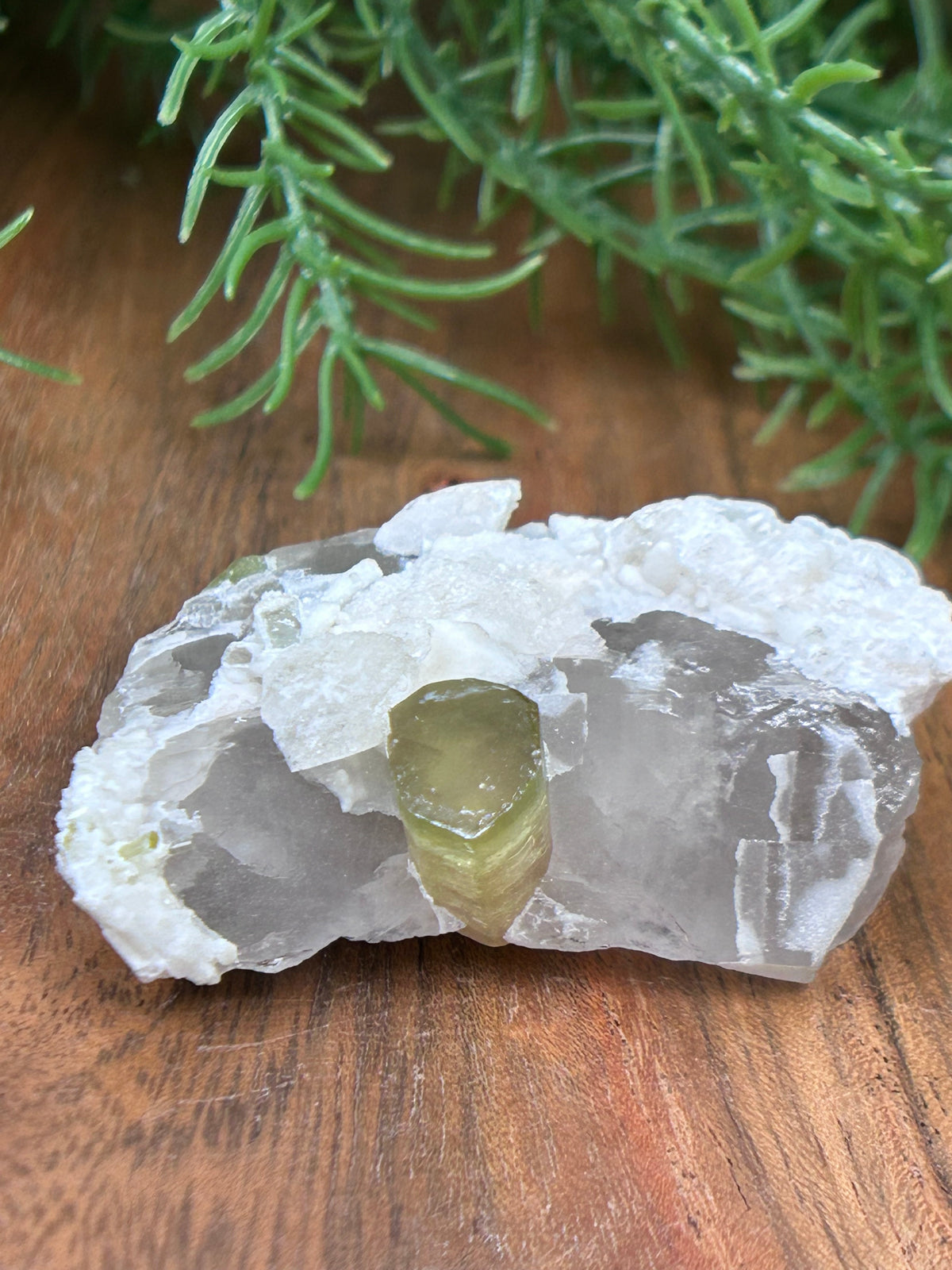 Watermelon Tourmaline on Matrix - Afghanistan