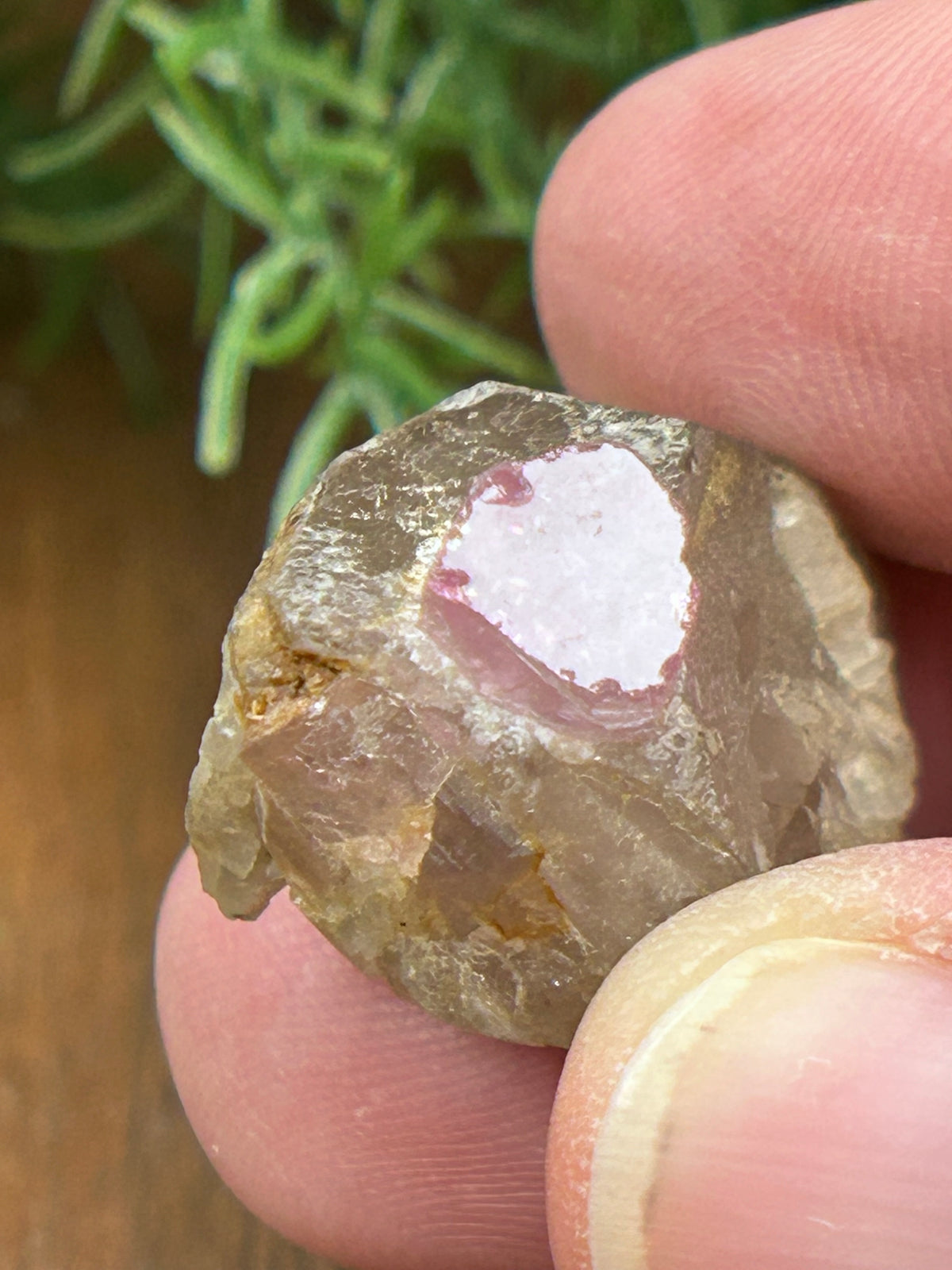 Pink Tourmaline in Matrix - Afghanistan