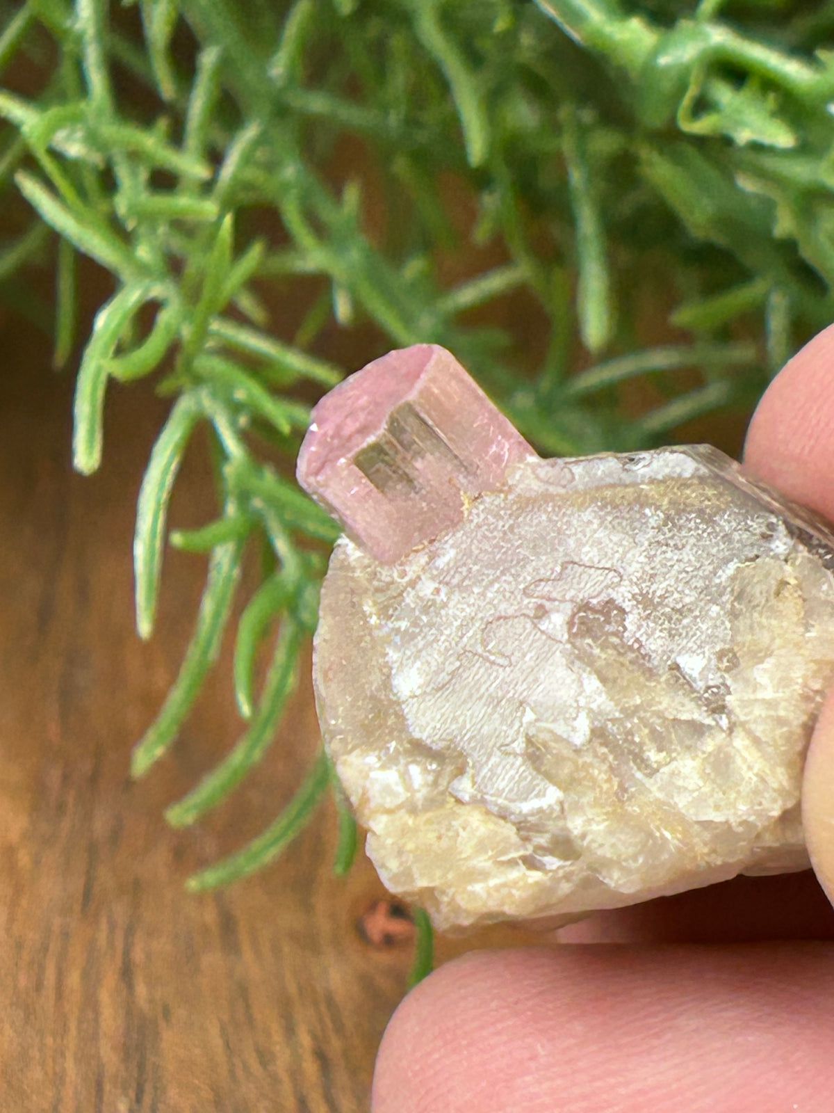 Pink Tourmaline in Matrix - Afghanistan