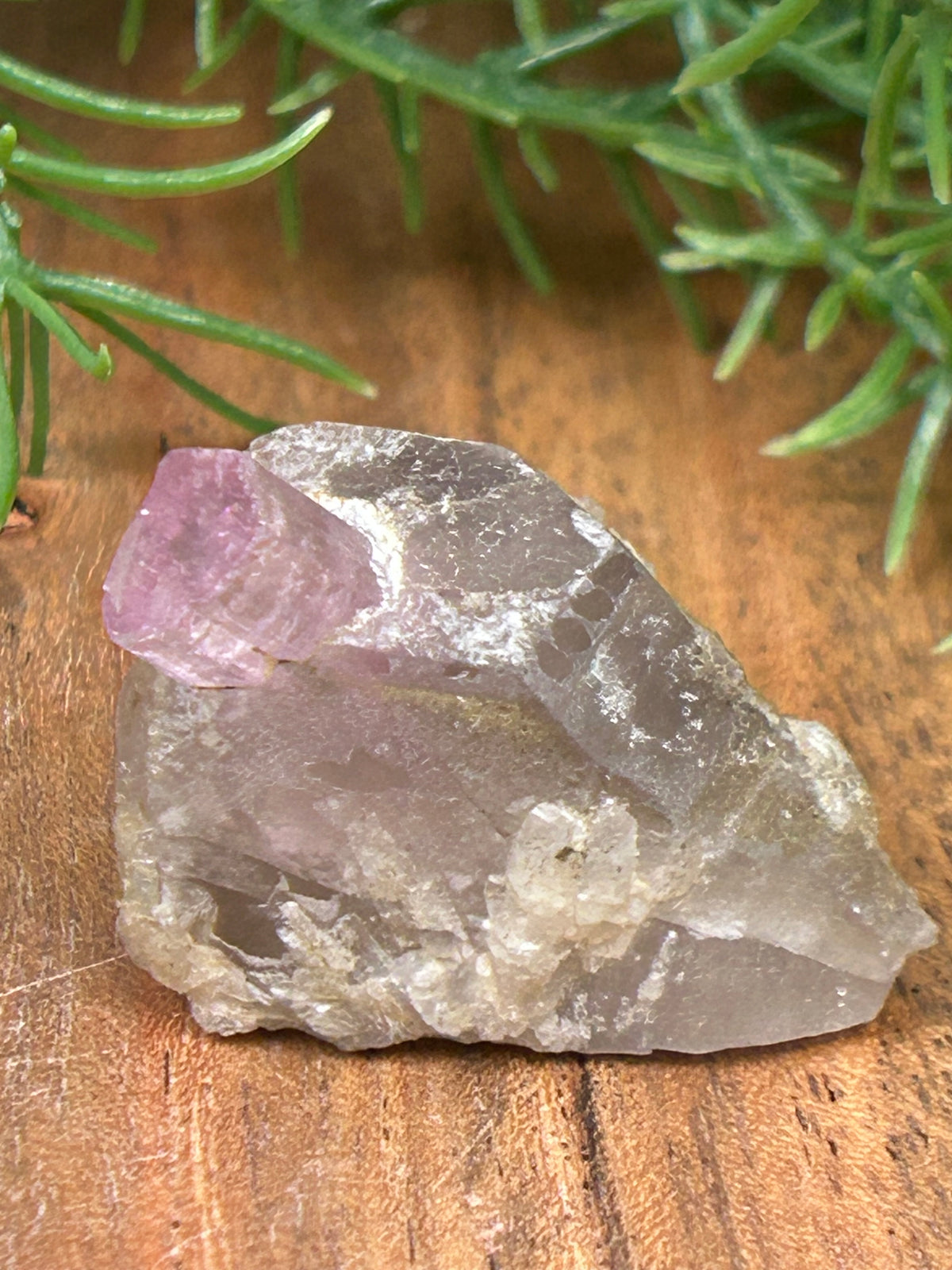 Pink Tourmaline in Matrix - Afghanistan
