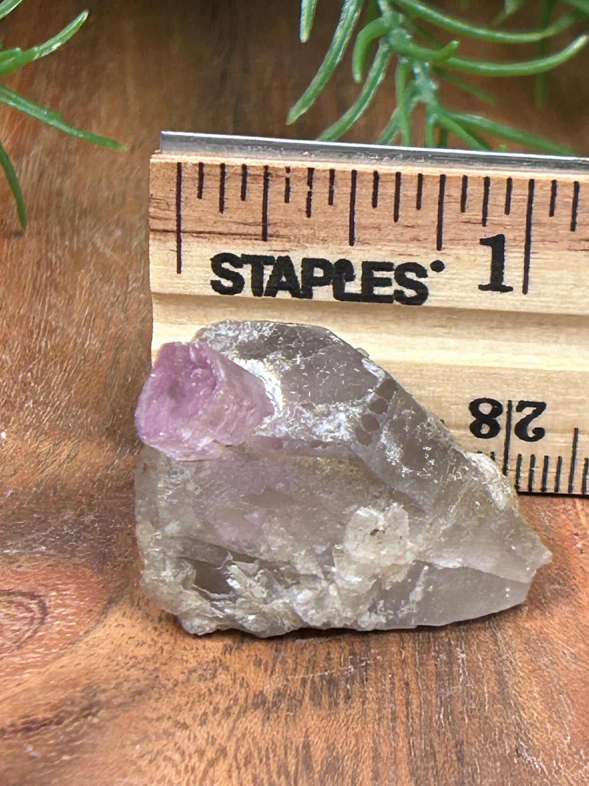 Pink Tourmaline in Matrix - Afghanistan