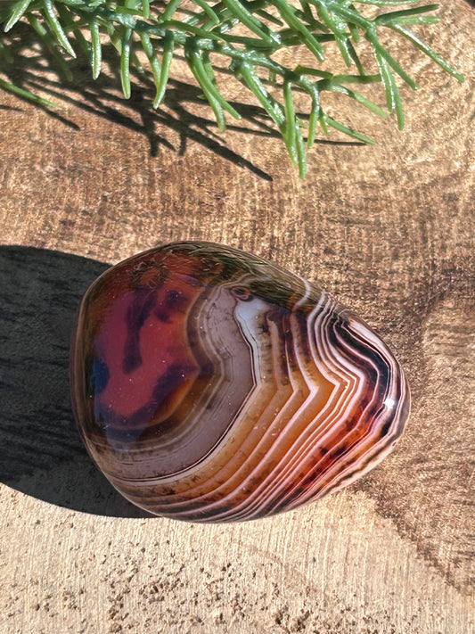 Madagascar Banded Agate D8