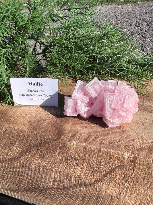 Halite Specimen B