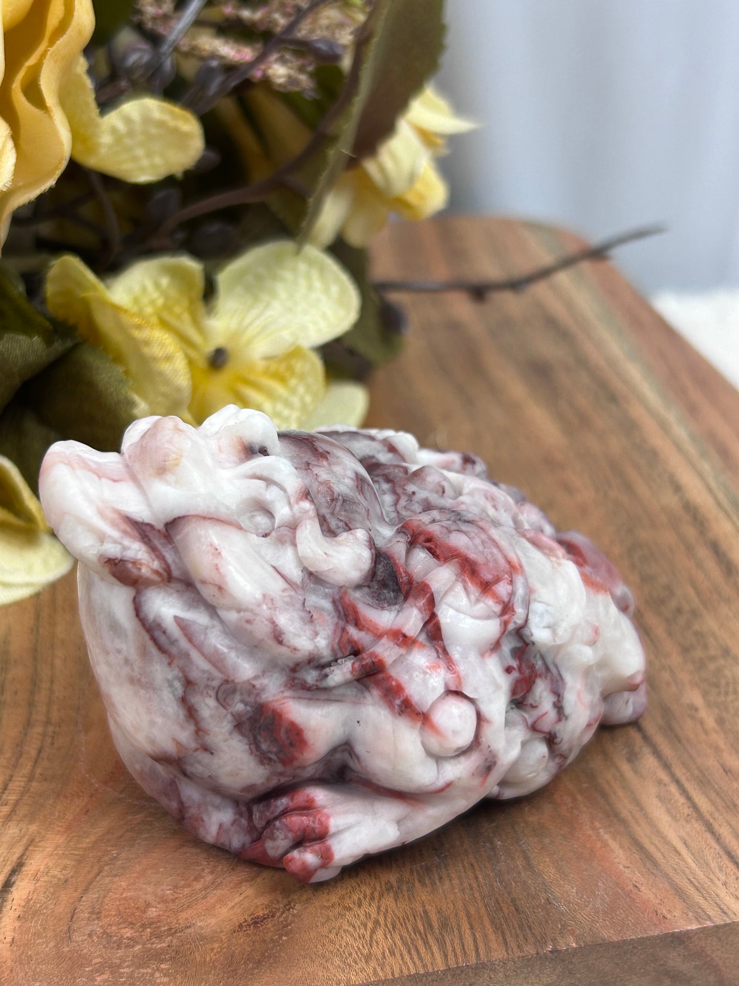 Red Vein Jasper Money Toad