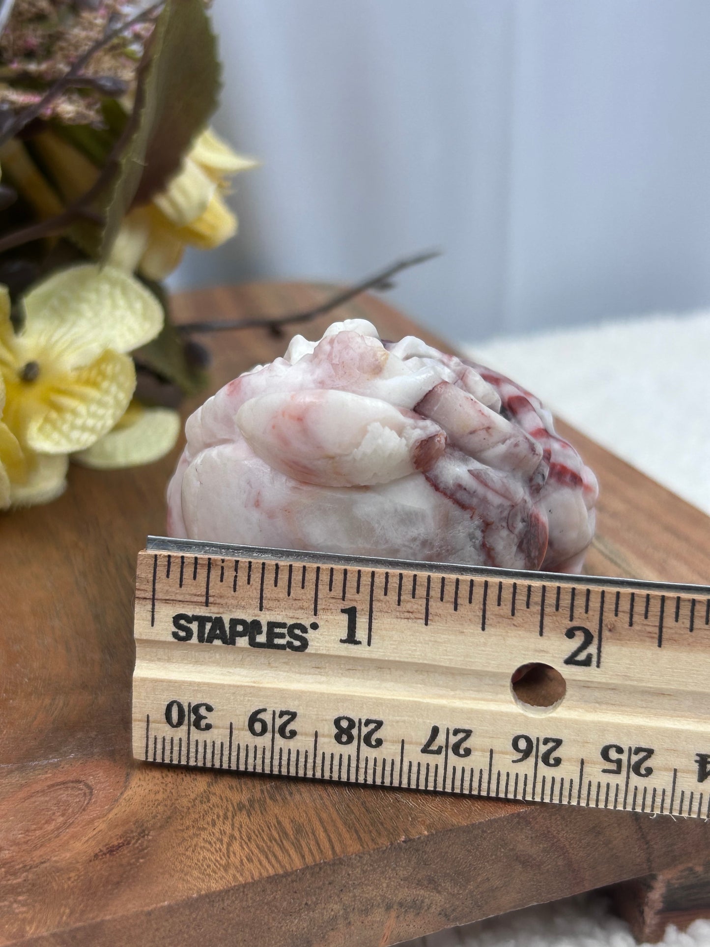 Red Vein Jasper Money Toad